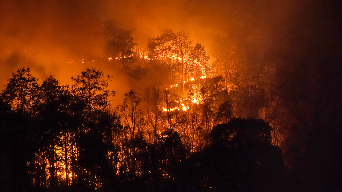 Wildfire Natural Disasters